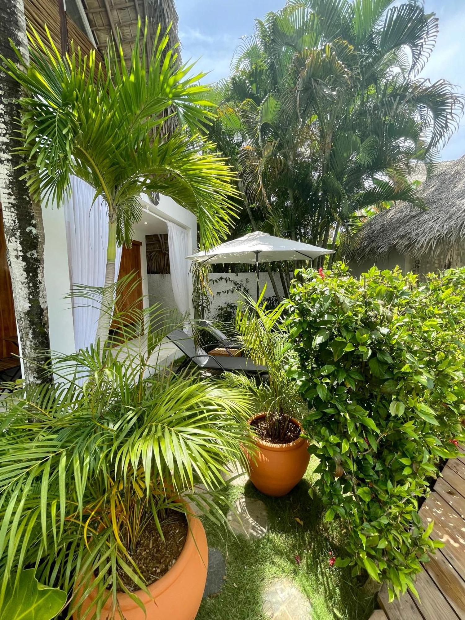 Leeloo Boutique Hotel Las Terrenas Εξωτερικό φωτογραφία
